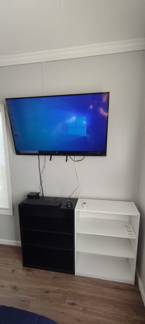 Television