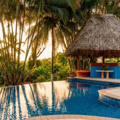 Private swimming pool set in a peaceful jungle environment, perfect for relaxing after exploring Cayo.