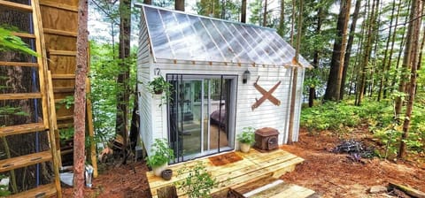 Stabbin Cabin 2 with Clear roof and private balcony.