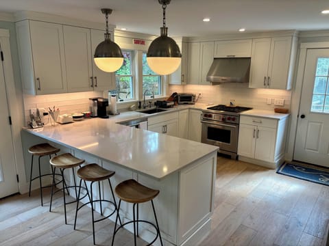 Breakfast counter and kitchen