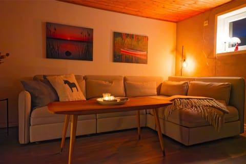 Hus Lönnbacka in Blekinge – modern Swedish home with lake view & fiber Wi-Fi House in Kalmar County, Sweden