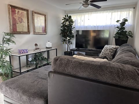 65" Roku smart TV