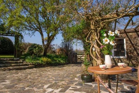 Patio area with table and chairs