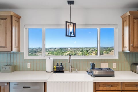 Not a bad view for doing dishes!