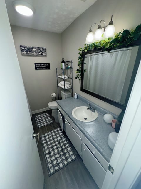 Main bathroom 