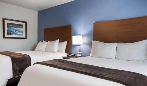 Drift off under crisp linens and warm bedside lighting.