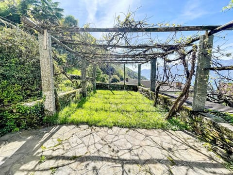 Green, Sunlight, Garden, Fence, Walkway, Plantation, Botanical Garden, Stock Photography