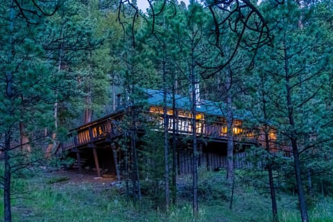 Cozy Cabin in the Pines at Dusk