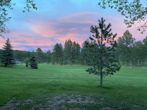 View of the backyard from the patio