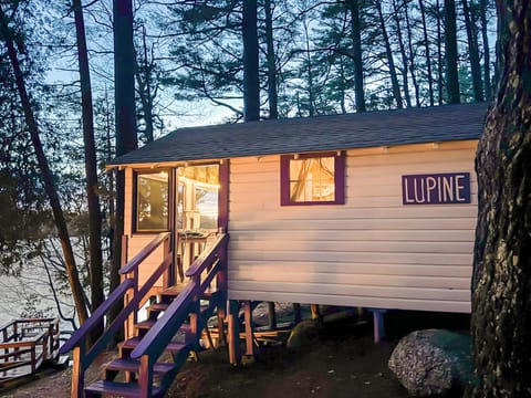 Exterior of the cabin in the woods with sunset