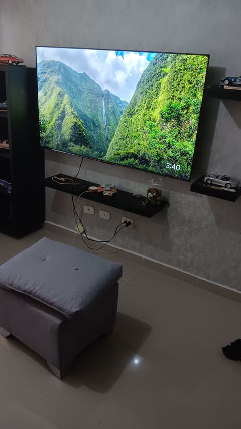 Television