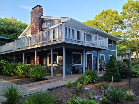 The house surrounded by greener. Always something in bloom