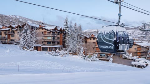 Prime slope side location with ski-in, ski-out access. No shuttles needed - step outside and you're already on the mountain!