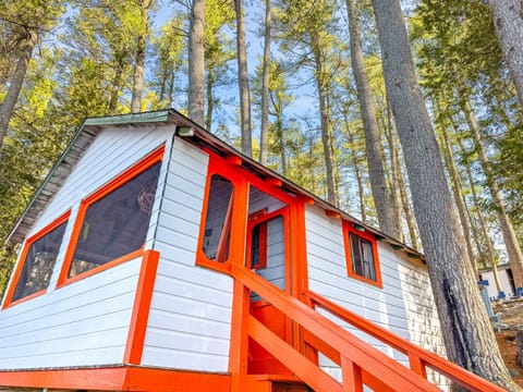 Cozy cabin vibes in the heart of the forest