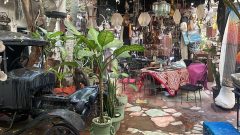 Miscellaneous