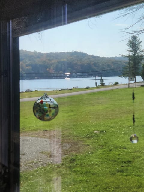 View from inside the screened in porch