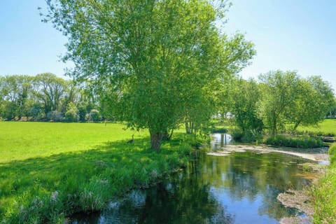 68e6be29-d7a1-4e93-a9d1-b9972ad54c5e