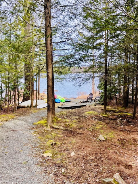 Walk to the dock and paddleboards & Kayaks