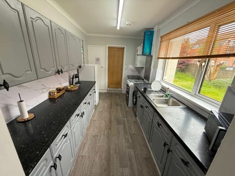 Elegant Galley Kitchen with Grey-Toned Calm