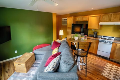 Juicy, comfy sofa positioned in front of TV and large windows overlooking river