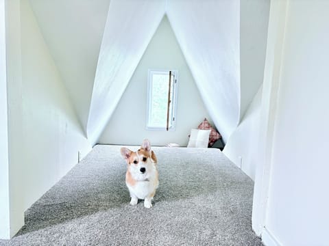 Twin Bedroom 1 Reading Nook