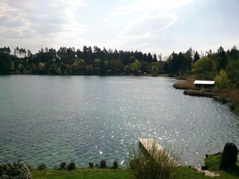 Family room - Seepension Smoley *** Bed and Breakfast in Villach