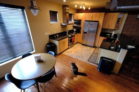 Cats live in home when owners are in town - 2nd Floor