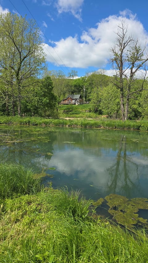 Cabin nestled in the Ozark hills overlooking the creek and pond 