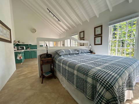 Bright studio with king bed, high ceiling and full kitchen.