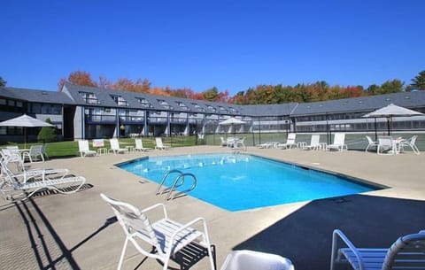Dive into relaxation at the inviting outdoor pool surrounded by nature.