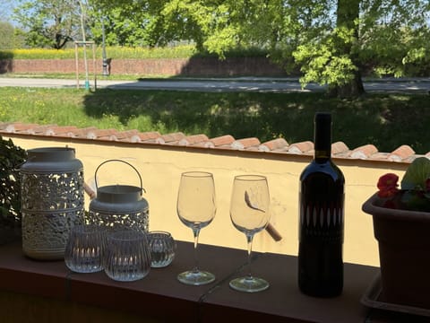 Drinkware, Bottle, Serveware, Glass Bottle, Garden, Wine, Shade, Stemware, Outdoor Furniture