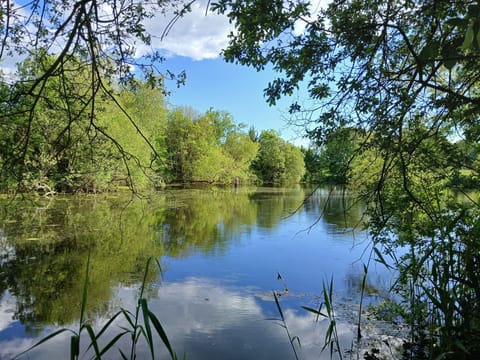 The private small lake/big pond in our backyard