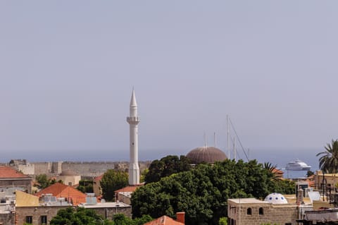The view from  our 
 100 M2 terrace and the  tower room