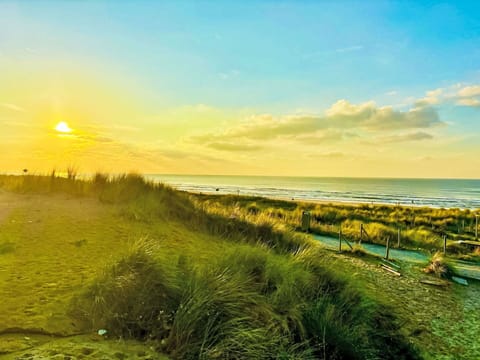 Shrub, Residential Area, Home, Estate, Garden, Lawn, Landscaping, Yard, Mansion, Villa