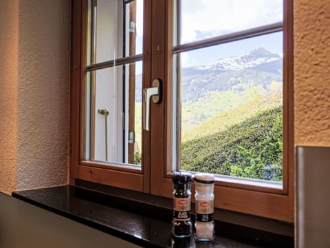 Garage, Daylighting, Siding