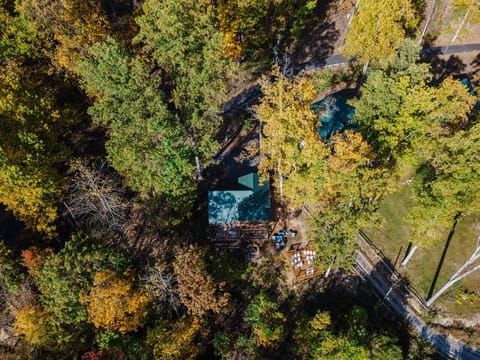 Two cabins, one forest, total seclusion. Enjoy a shared backyard, complete privacy, and the most breathtaking views of Pigeon Forge.