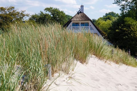 Beach house surrounded by tall grasses