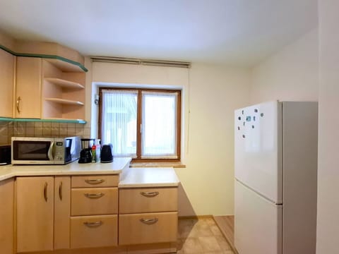 Shrub, Flowerpot, Shade, Hacienda, Garden, Courtyard, Yard, Houseplant, Landscaping