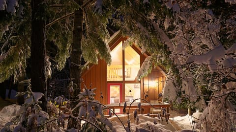 Winter Night
