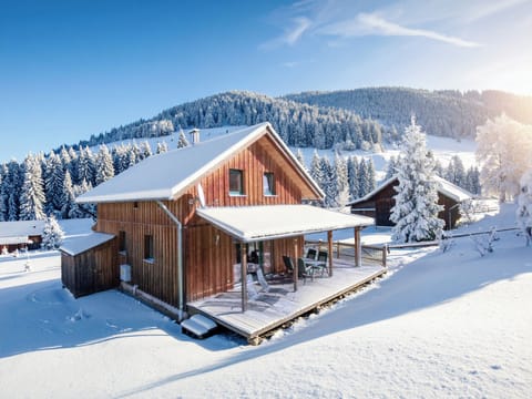 Holiday Home Exterior [winter]