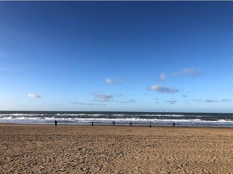 beach of Scheveningen