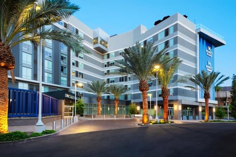 Arrive in style to a sleek, palm-lined modern hotel