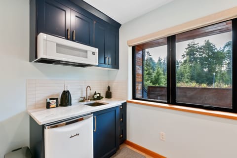 Kitchenette-No oven (microwave, kettle, coffee maker)