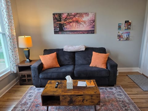 The living room features a full size couch with a lift top coffee table.