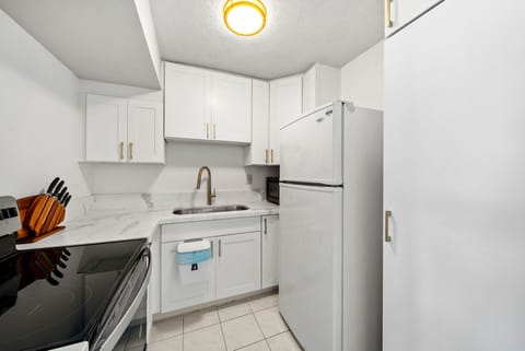 Fully-equipped kitchen with electric stove, oven and fridge