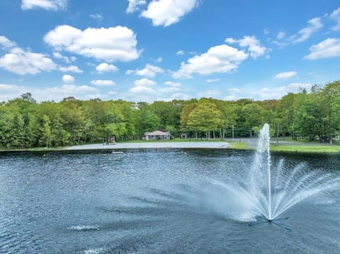 Beautiful lake just steps away from the house