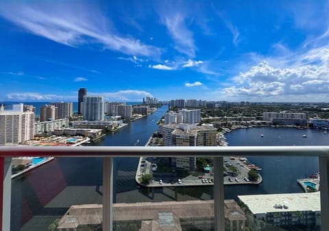 Clear view of Miami skyline and palm trees from the balcony.