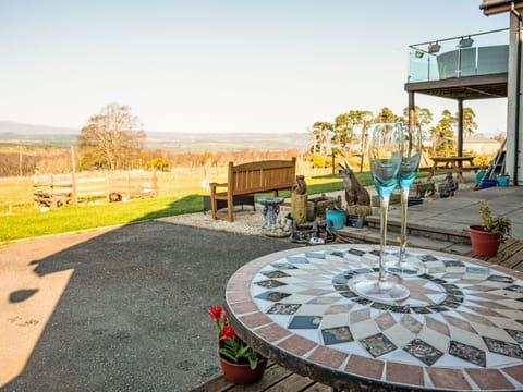 Shrub, Residential Area, Home, Estate, Garden, Lawn, Landscaping, Yard, Mansion, Villa