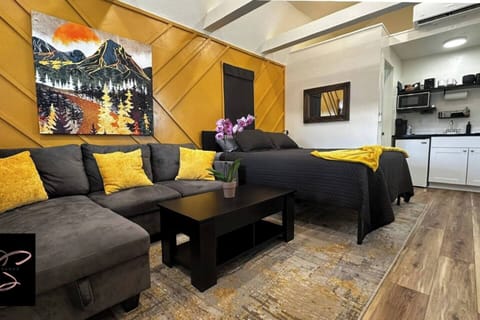 Overview of the sofa and queen bed