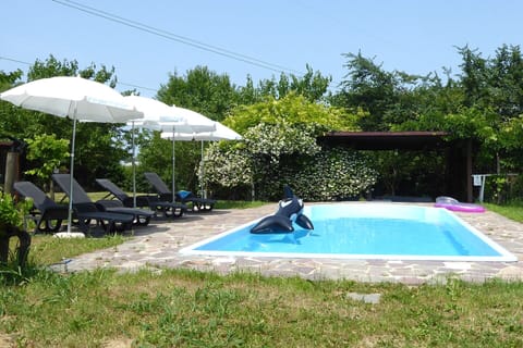 Autumn, Pool, Spring, Summer